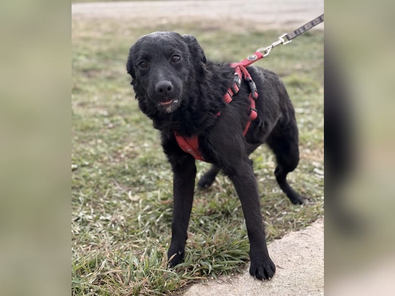 Aska ein verspieltes selbstbewusstes Mädchen