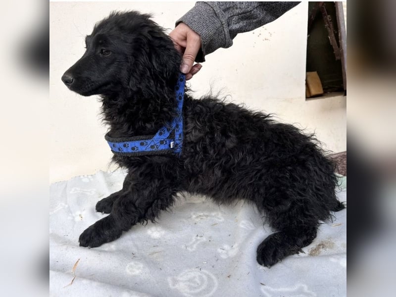 Seka eine kleine Prinzessin