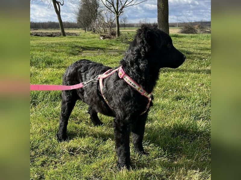 Lia ein kleiner Schatz