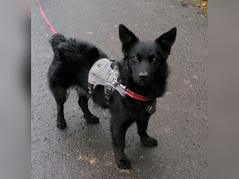 Pia die Allerliebste