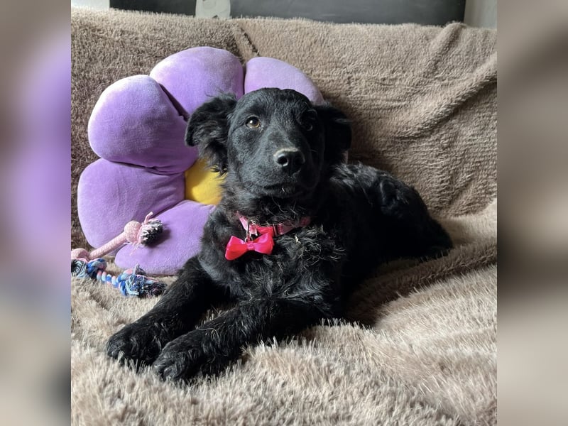 Lara ein kleiner Schatz