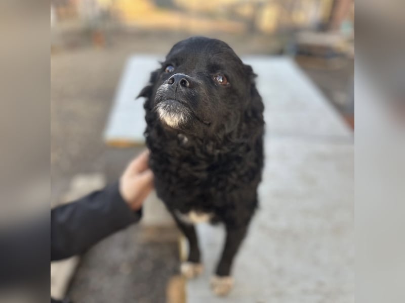 Milena eine kleine Zuckerschnute