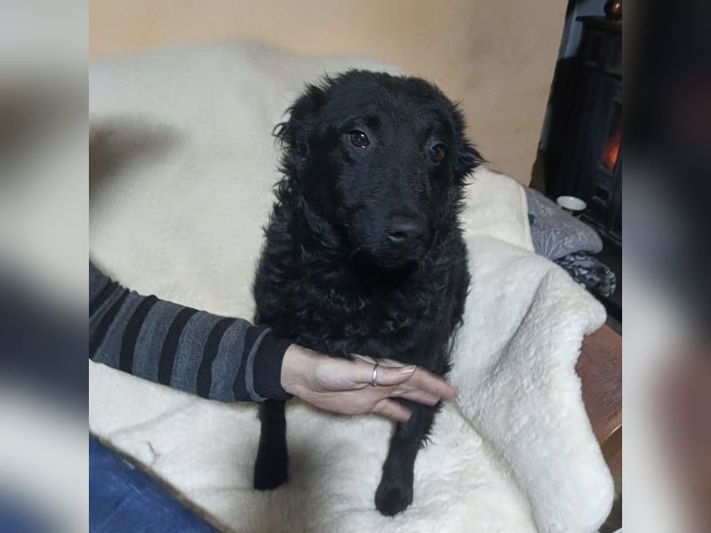 Raya zart wie eine Mimose