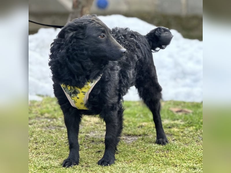 Raya zart wie eine Mimose