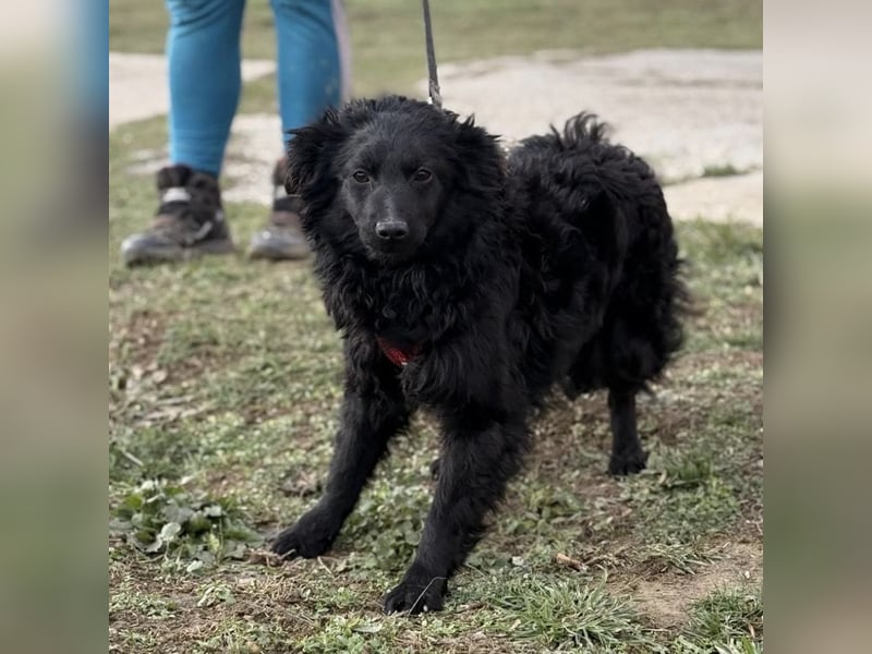 Asia die wundervolle fröhliche