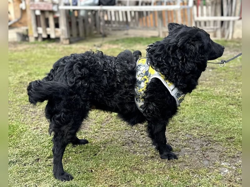 Raya zart wie eine Mimose
