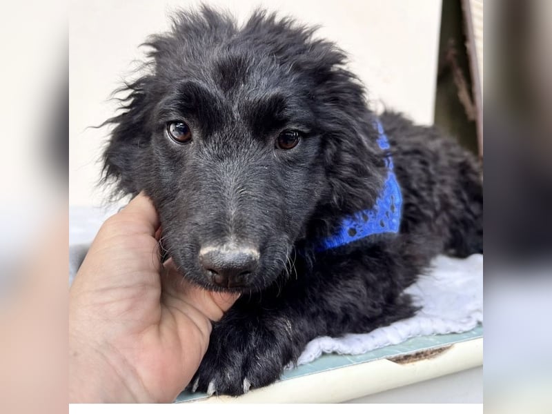 Seka eine kleine Prinzessin