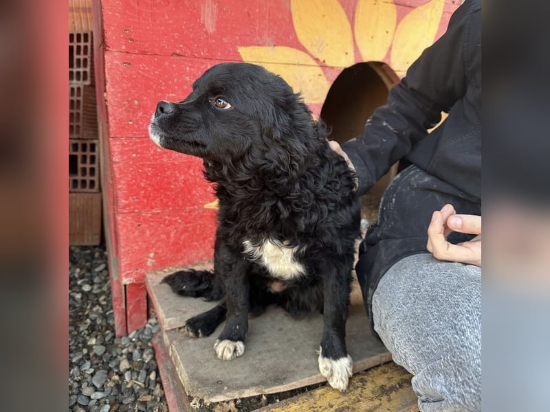 Milena eine kleine Zuckerschnute