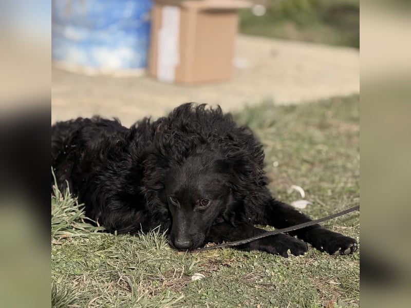 Asia die wundervolle fröhliche