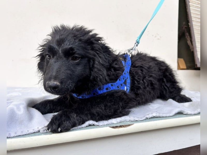 Seka eine kleine Prinzessin