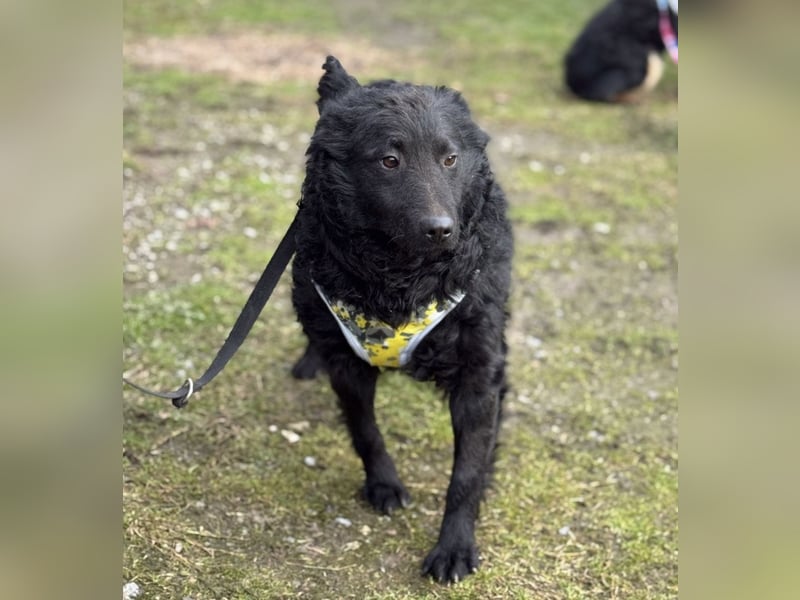 Raya zart wie eine Mimose