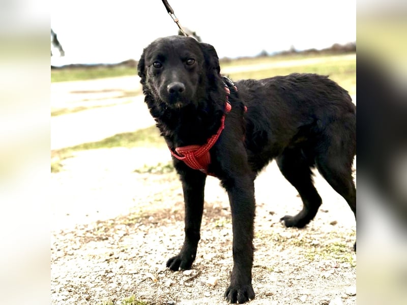 Aska ein verspieltes selbstbewusstes Mädchen