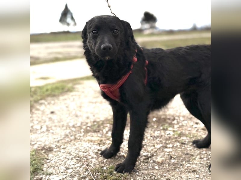 Aska ein verspieltes selbstbewusstes Mädchen