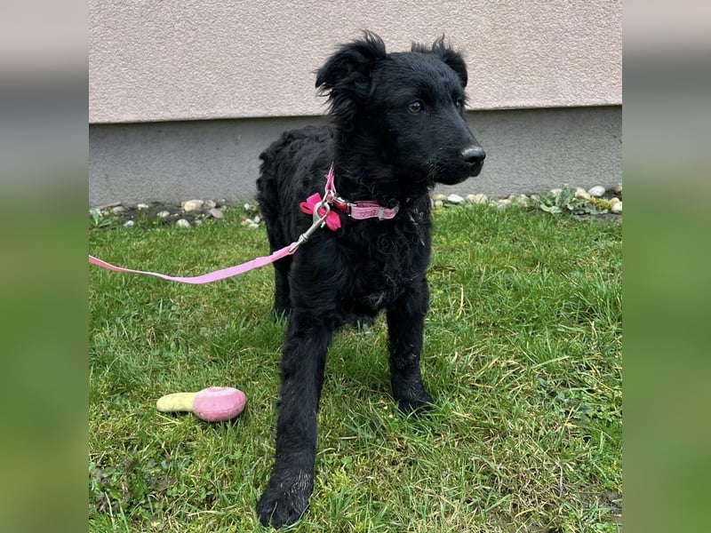 Lara ein kleiner Schatz