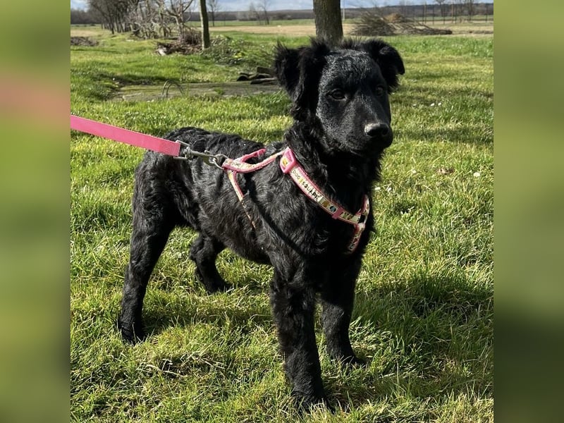 Lia ein kleiner Schatz