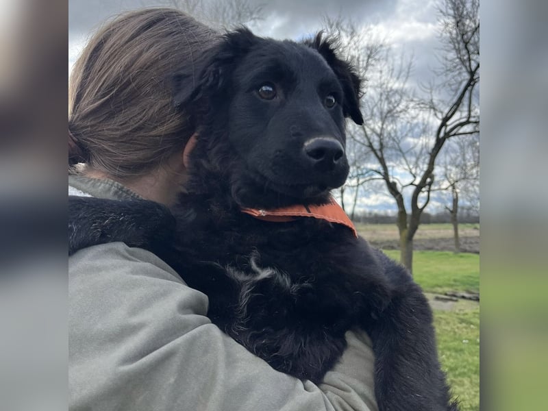 Leonien kleiner Schatz