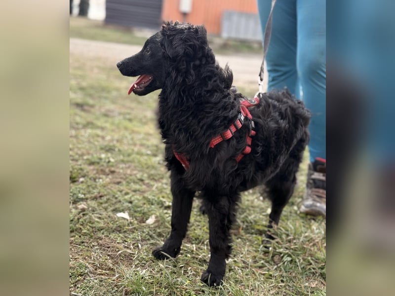 Asia die wundervolle fröhliche