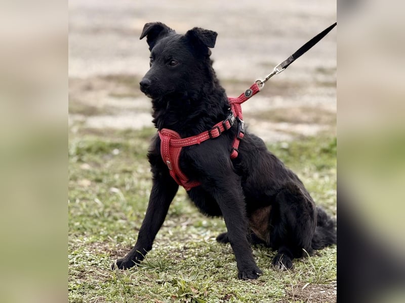 Aska ein verspieltes selbstbewusstes Mädchen