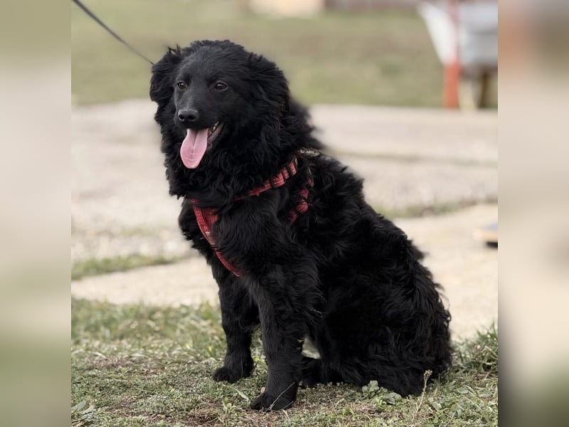 Asia die wundervolle fröhliche