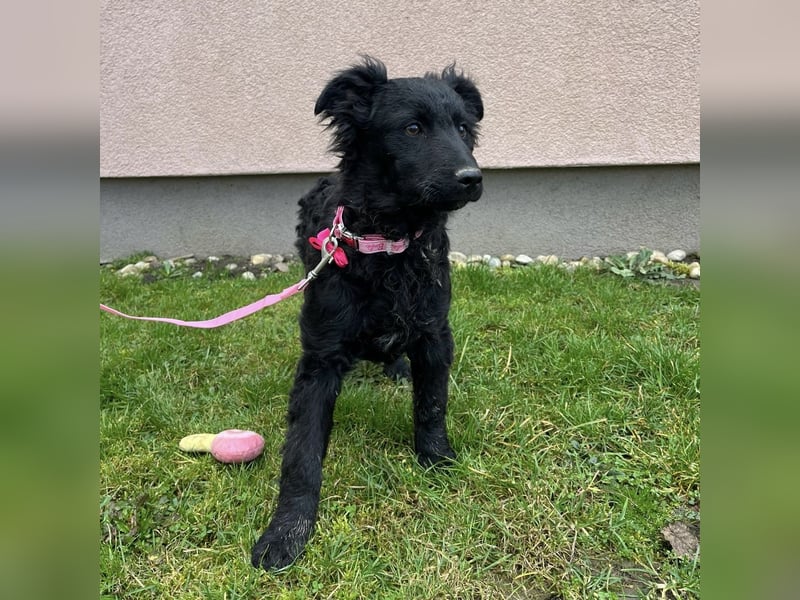 Lara ein kleiner Schatz