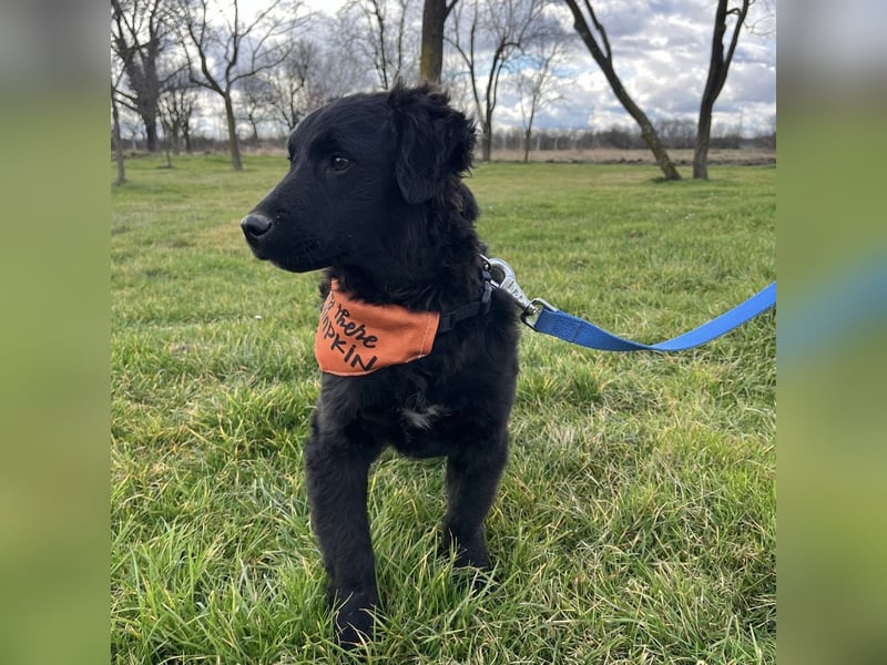 Leonien kleiner Schatz