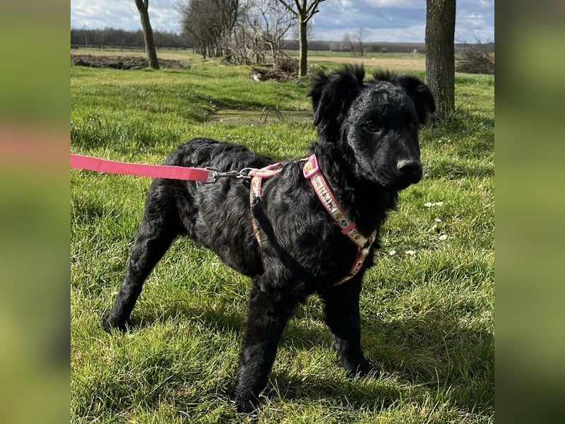 Lia ein kleiner Schatz