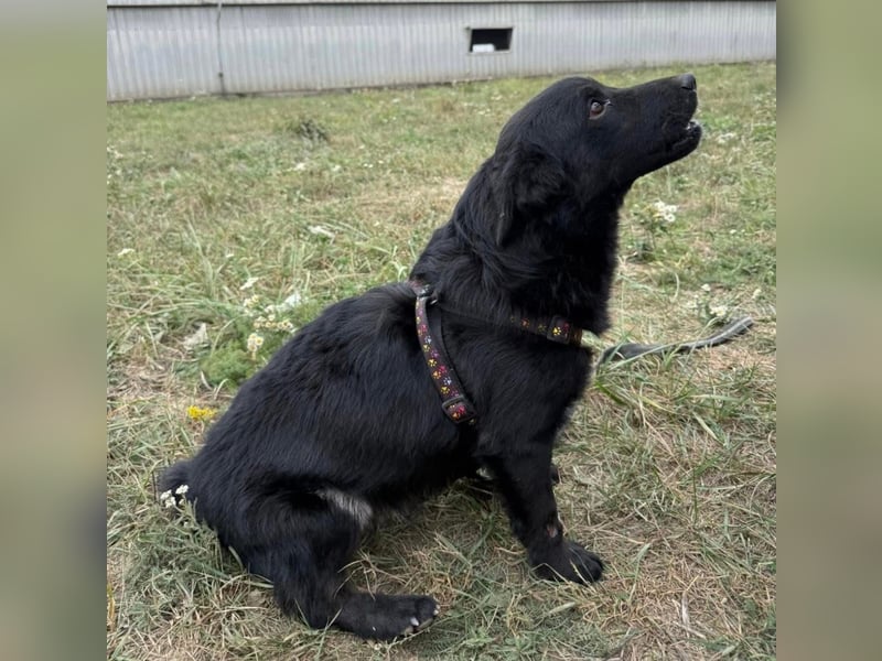 Pia die Allerliebste