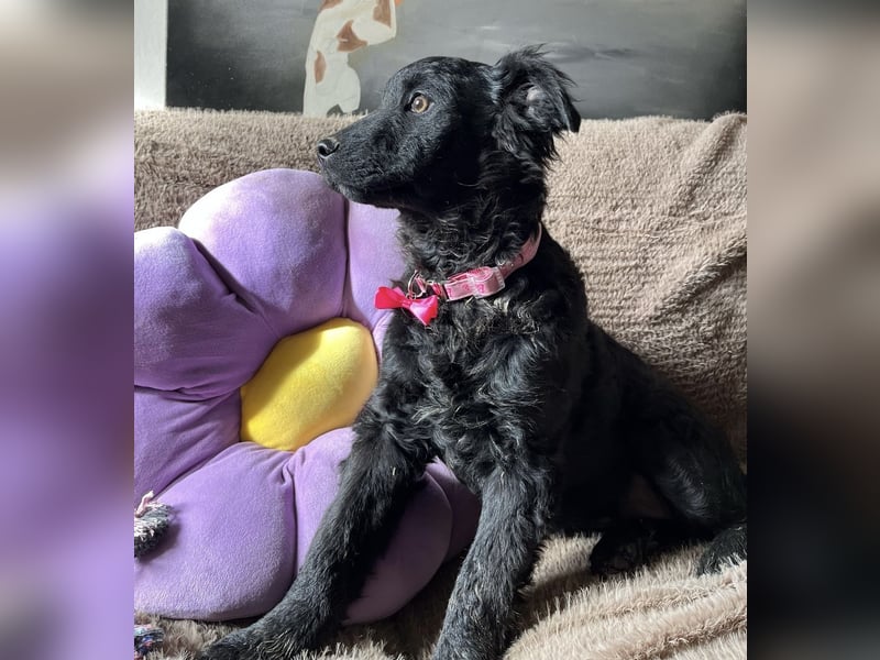 Lara ein kleiner Schatz