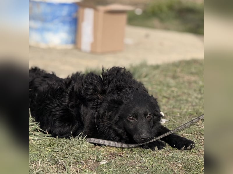 Asia die wundervolle fröhliche