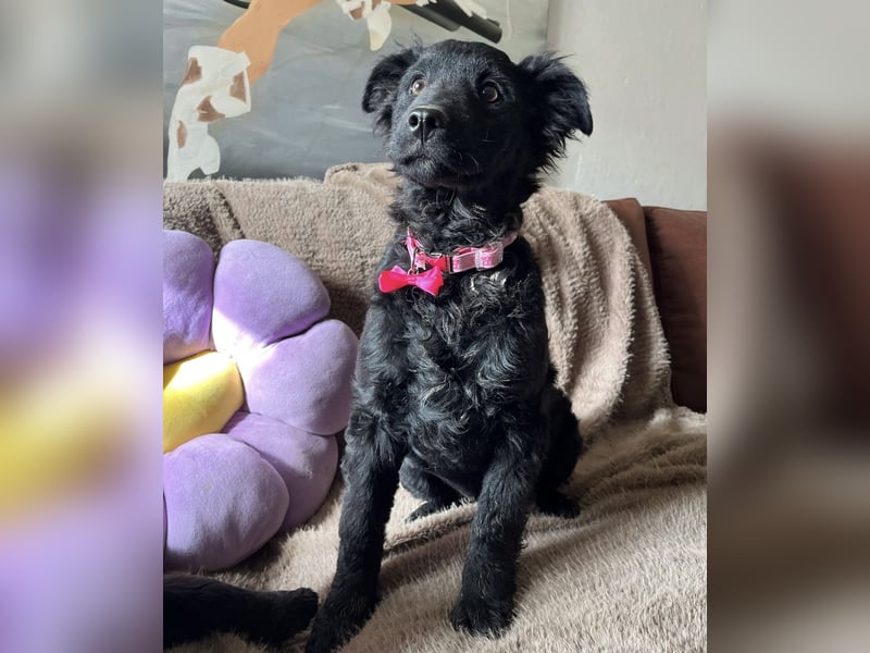 Lara ein kleiner Schatz