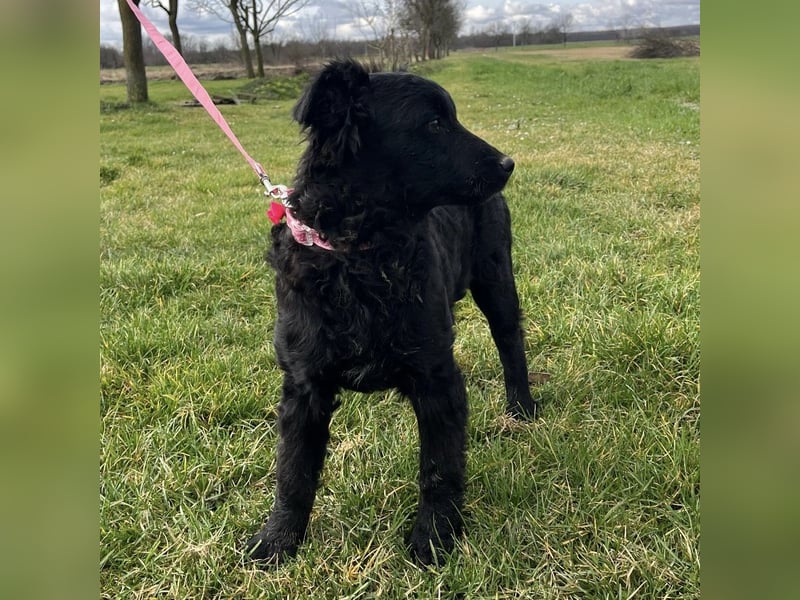 Lara ein kleiner Schatz