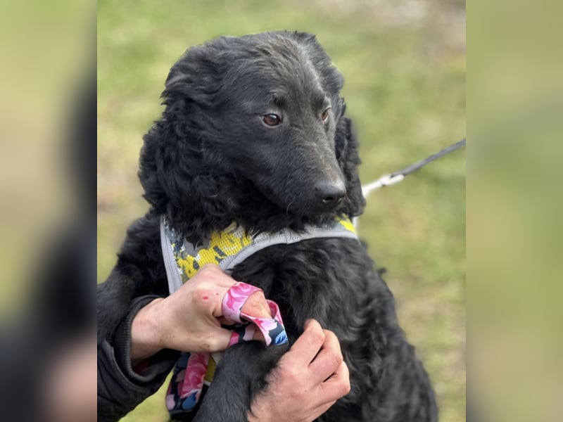 Raya zart wie eine Mimose