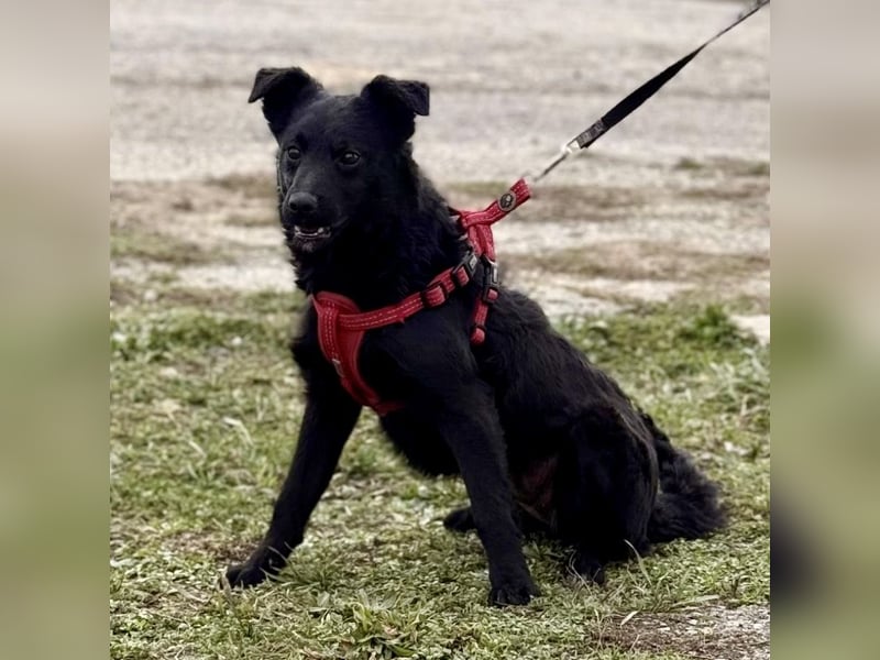 Aska ein verspieltes selbstbewusstes Mädchen