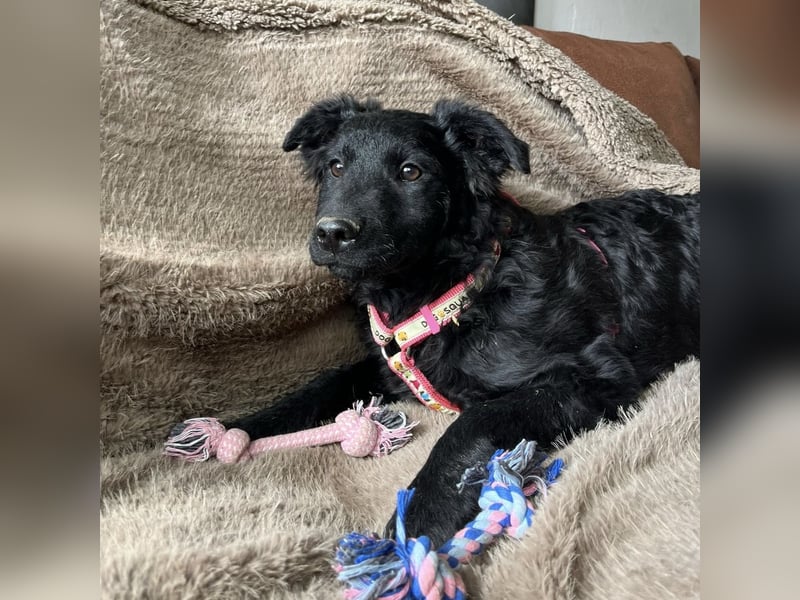 Lia ein kleiner Schatz