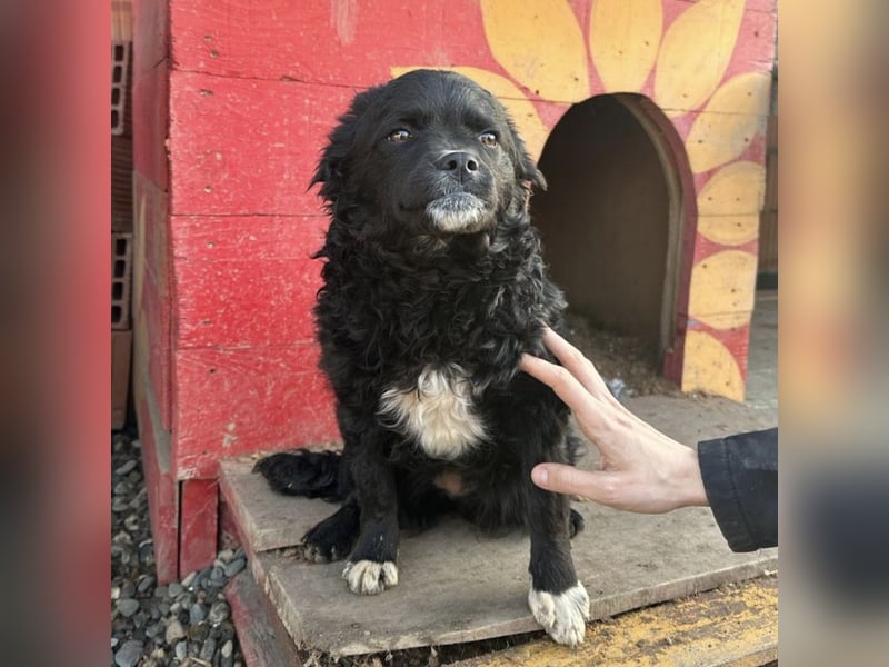 Milena eine kleine Zuckerschnute