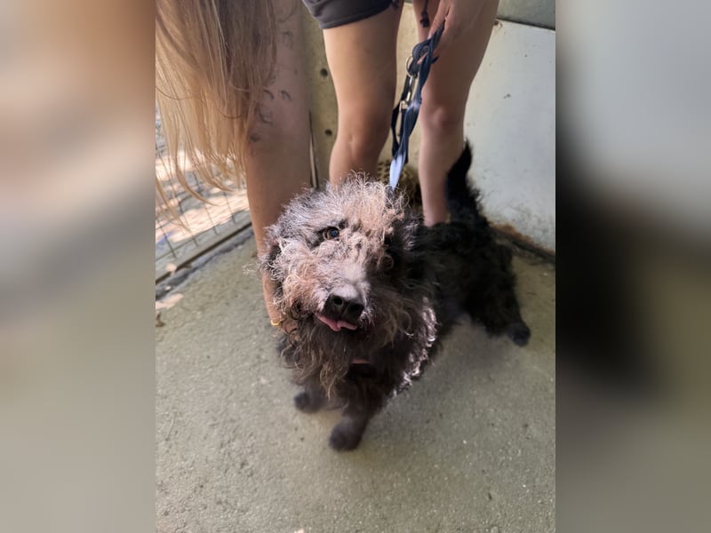 Beneth sucht ihr Glück