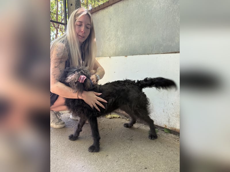 Beneth - so ein toller Hund sucht seine Menschen