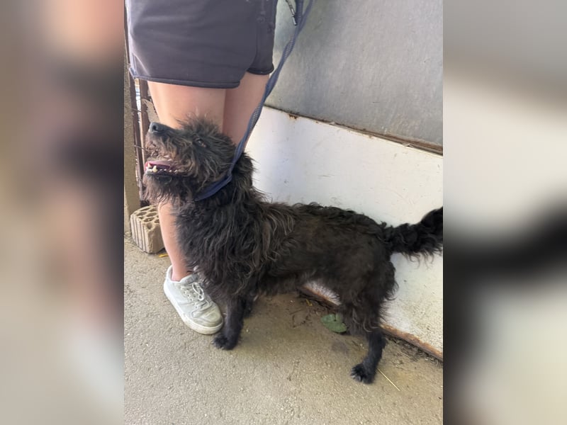 Beneth sucht ihr Glück