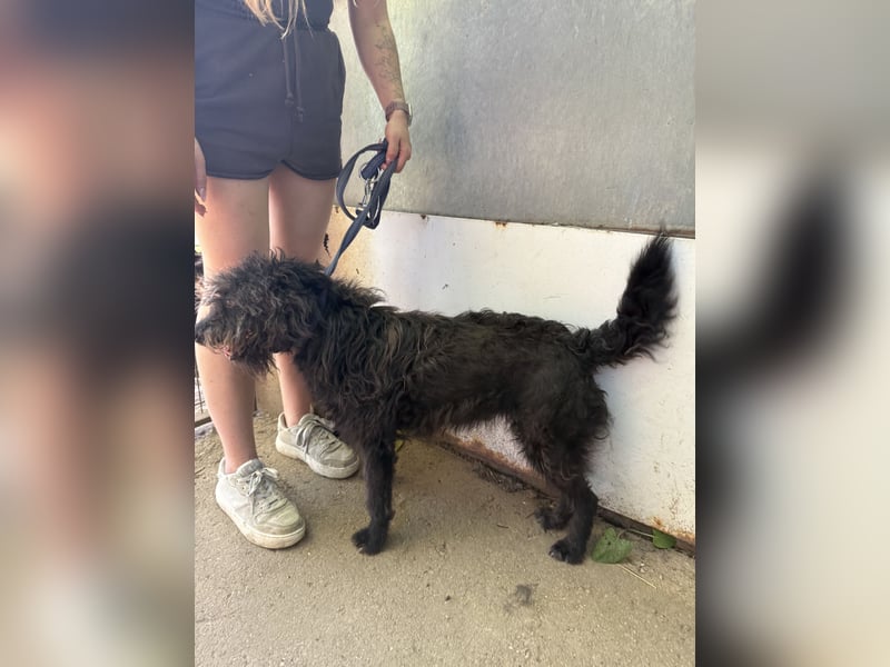 Beneth sucht ihr Glück