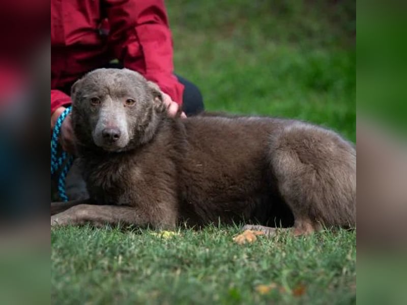 Elvis Presley Elvis Presley