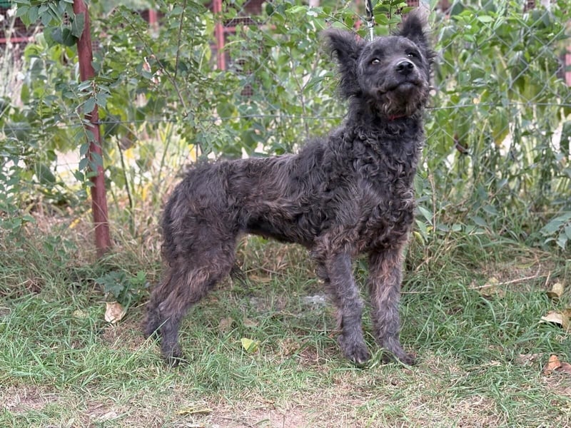 Zelmira KK – sucht geduldige, liebe Menschen