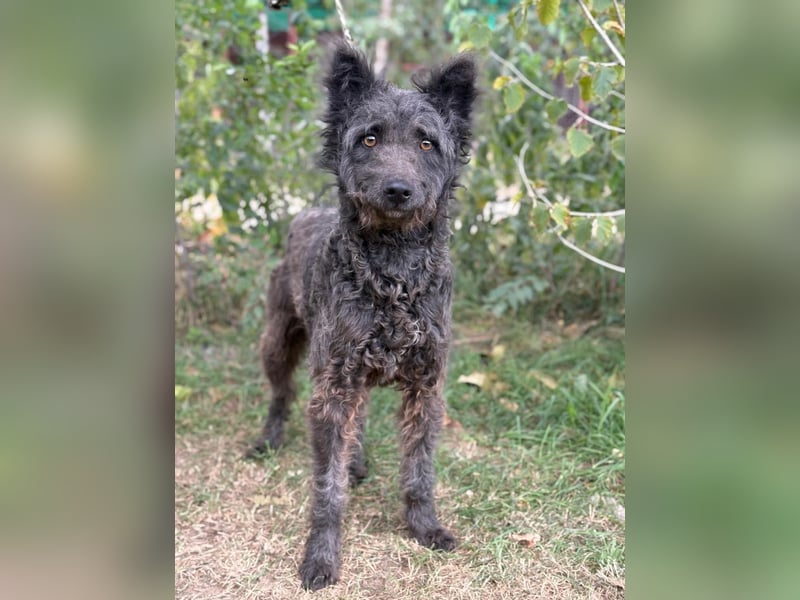 Zelmira KK – sucht geduldige, liebe Menschen