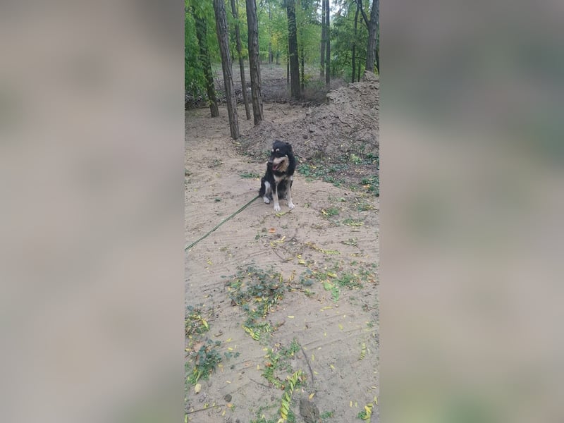 Arthur, geb. 10.03.2024, 48 cm, sucht nach seinen Menschen