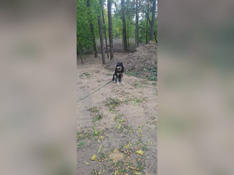 Arthur, geb. 10.03.2024, 48 cm, sucht nach seinen Menschen