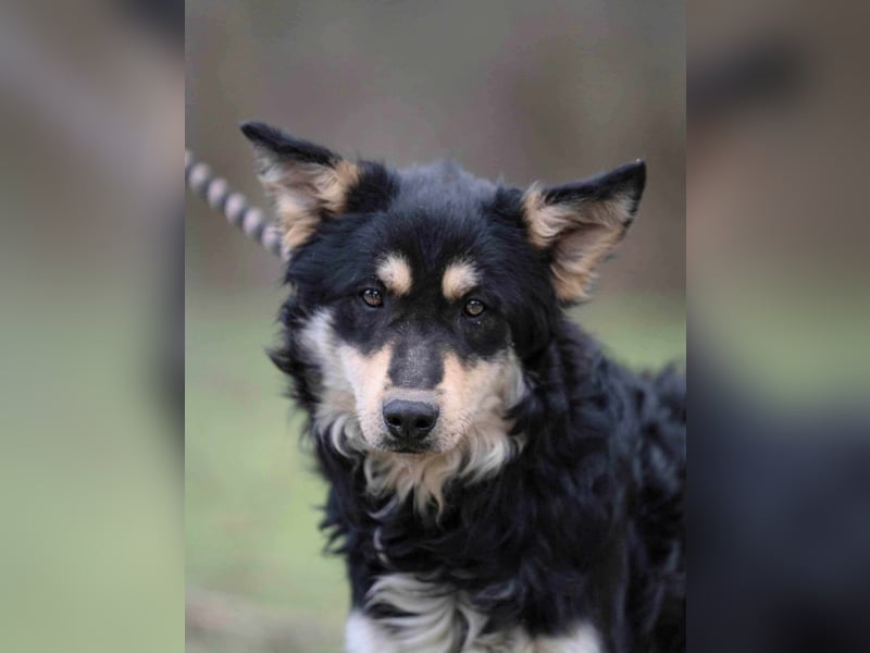 Arthur, geb. 10.03.2024, 48 cm, sucht nach seinen Menschen