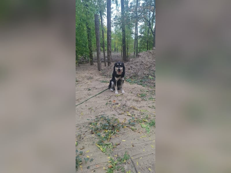 Arthur, geb. 10.03.2024, 48 cm, sucht nach seinen Menschen