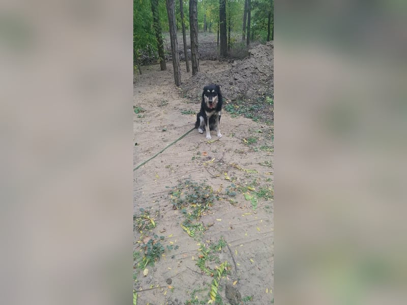 Arthur, geb. 10.03.2024, 48 cm, sucht nach seinen Menschen