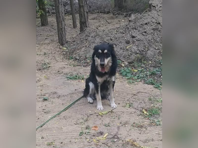 Arthur, geb. 10.03.2024, 48 cm, sucht nach seinen Menschen