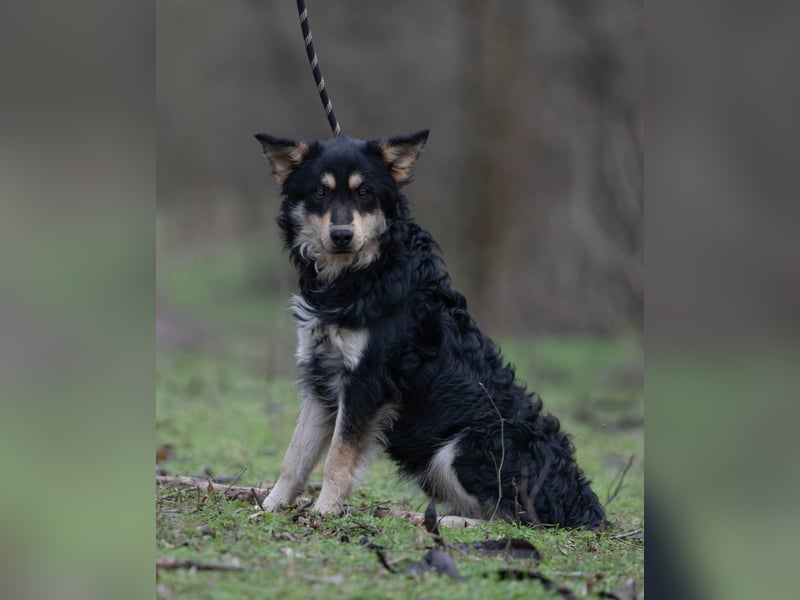 Arthur, geb. 10.03.2024, 48 cm, sucht nach seinen Menschen