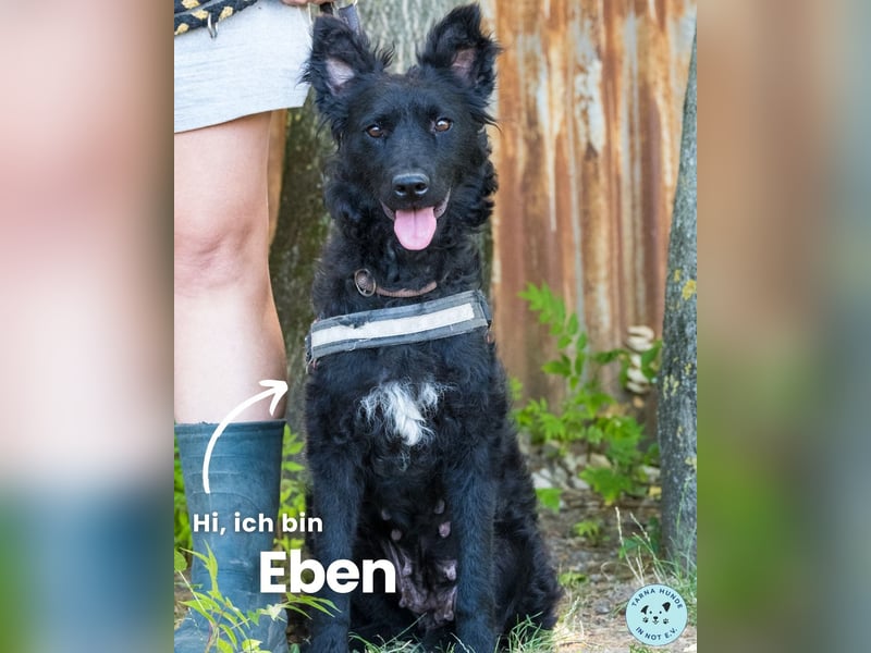 Eben SI, mag Kinder und Hunde